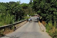 Shiroles de Talamanca