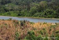 Shiroles de Talamanca