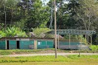 Shiroles de Talamanca