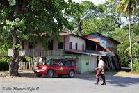 Shiroles de Talamanca