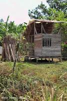 Shiroles de Talamanca