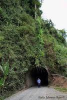 Shiroles de Talamanca