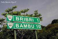 Shiroles de Talamanca