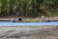 Shiroles de Talamanca