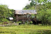 Shiroles de Talamanca