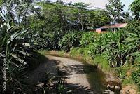 Shiroles de Talamanca