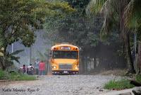 Shiroles de Talamanca