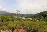 Shiroles de Talamanca