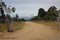 Shiroles de Talamanca