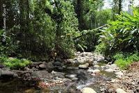 Shiroles de Talamanca