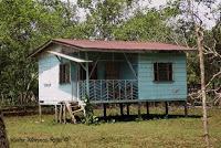 Shiroles de Talamanca