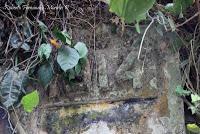 Shiroles de Talamanca