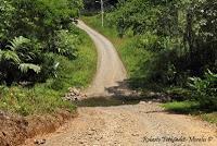 Shiroles de Talamanca