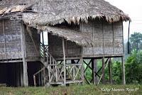 Shiroles de Talamanca