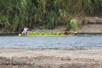 Shiroles de Talamanca