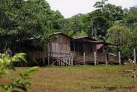 Shiroles de Talamanca