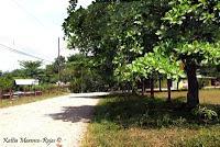 Shiroles de Talamanca