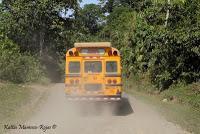 Shiroles de Talamanca