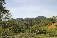 Shiroles de Talamanca