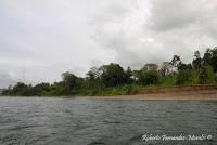 Shiroles de Talamanca