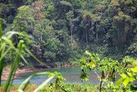 Shiroles de Talamanca