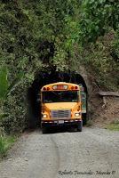 Shiroles de Talamanca