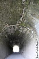 Shiroles de Talamanca