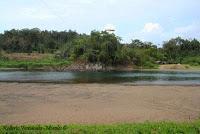 Shiroles de Talamanca