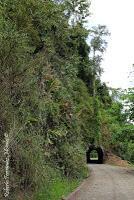 Shiroles de Talamanca