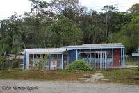 Shiroles de Talamanca