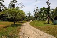 Shiroles de Talamanca