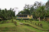 Shiroles de Talamanca