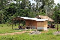 Shiroles de Talamanca