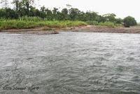 Shiroles de Talamanca