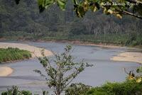 Shiroles de Talamanca