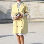 Paris_Fashion_Week_Street_Style_Spring_t