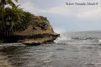 Punta Mona de Talamanca Punta Mona de Talamanca