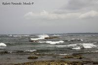 Punta Mona de Talamanca Punta Mona de Talamanca