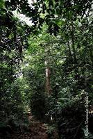 Punta Mona de Talamanca Punta Mona de Talamanca