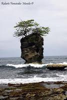 Punta Mona de Talamanca Punta Mona de Talamanca