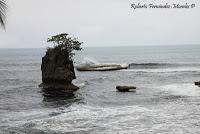 Punta Mona de Talamanca Punta Mona de Talamanca