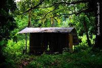 Punta Mona de Talamanca Punta Mona de Talamanca