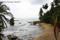 Punta Mona de Talamanca Punta Mona de Talamanca