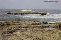 Punta Mona de Talamanca Punta Mona de Talamanca
