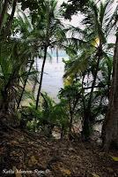 Punta Mona de Talamanca Punta Mona de Talamanca