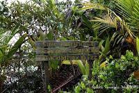 Punta Mona de Talamanca Punta Mona de Talamanca