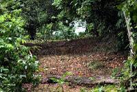 Punta Mona de Talamanca Punta Mona de Talamanca