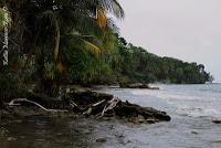 Punta Mona de Talamanca Punta Mona de Talamanca