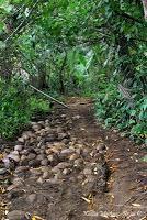 Punta Mona de Talamanca Punta Mona de Talamanca
