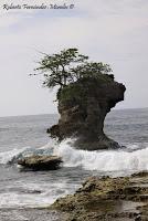 Punta Mona de Talamanca Punta Mona de Talamanca